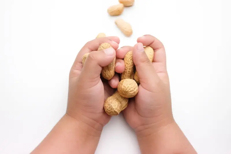 Pilihan makanan anak sesuai pantangan alerginya