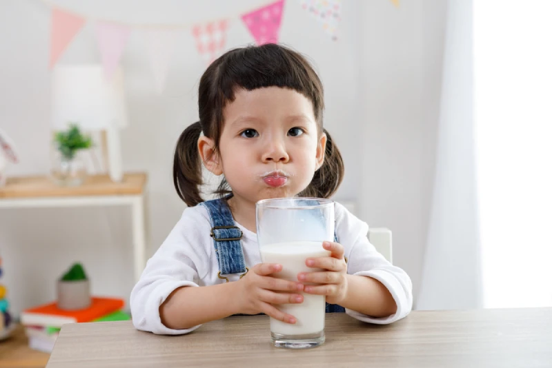 Anak perempuan sedang minum susu
