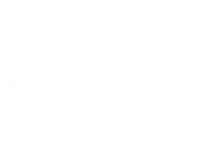 doodle img honeycomb